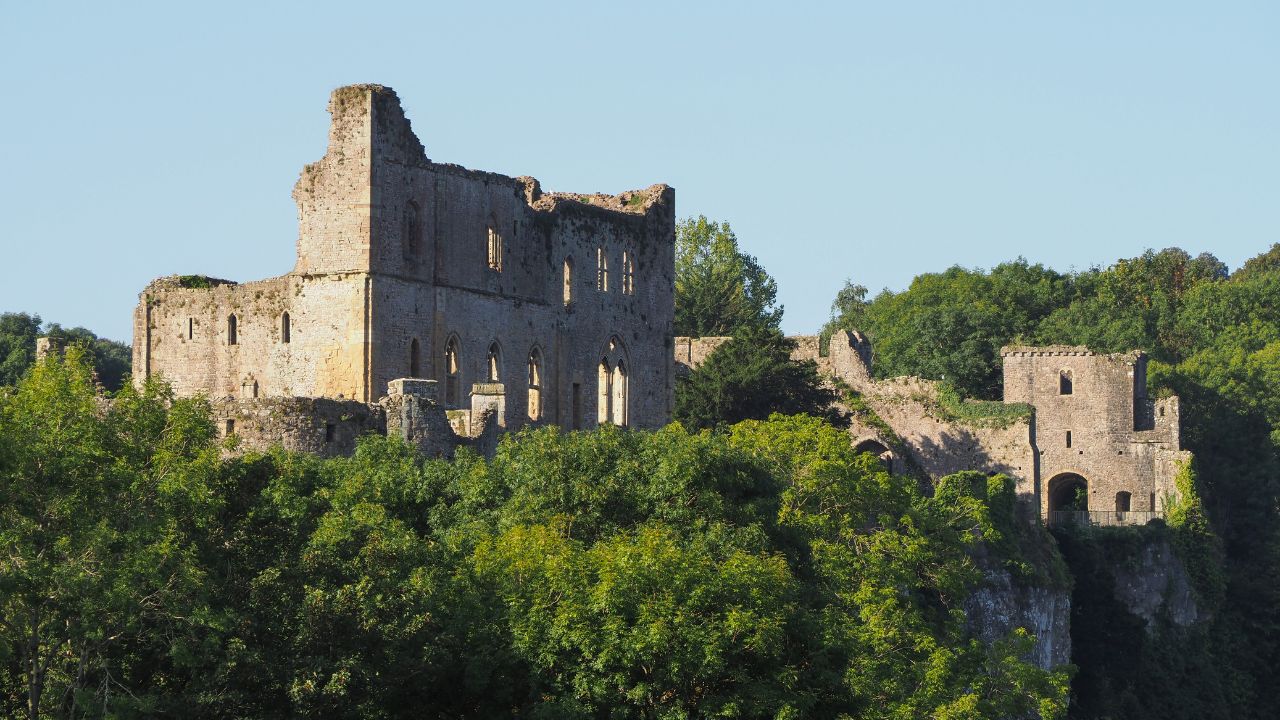 A chef frying food in a wok