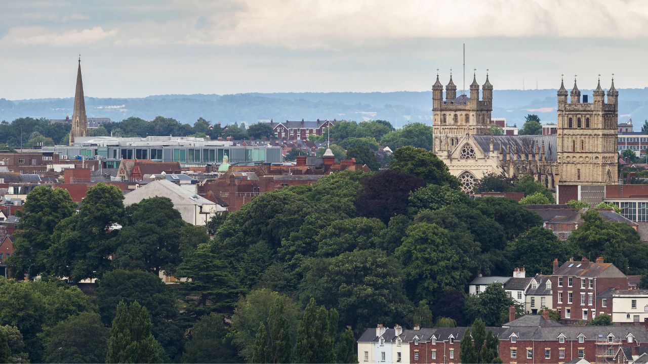 A chef frying food in a wok